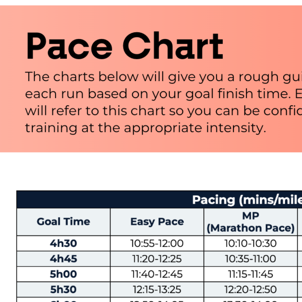 Marathon Plan Beginner - L1