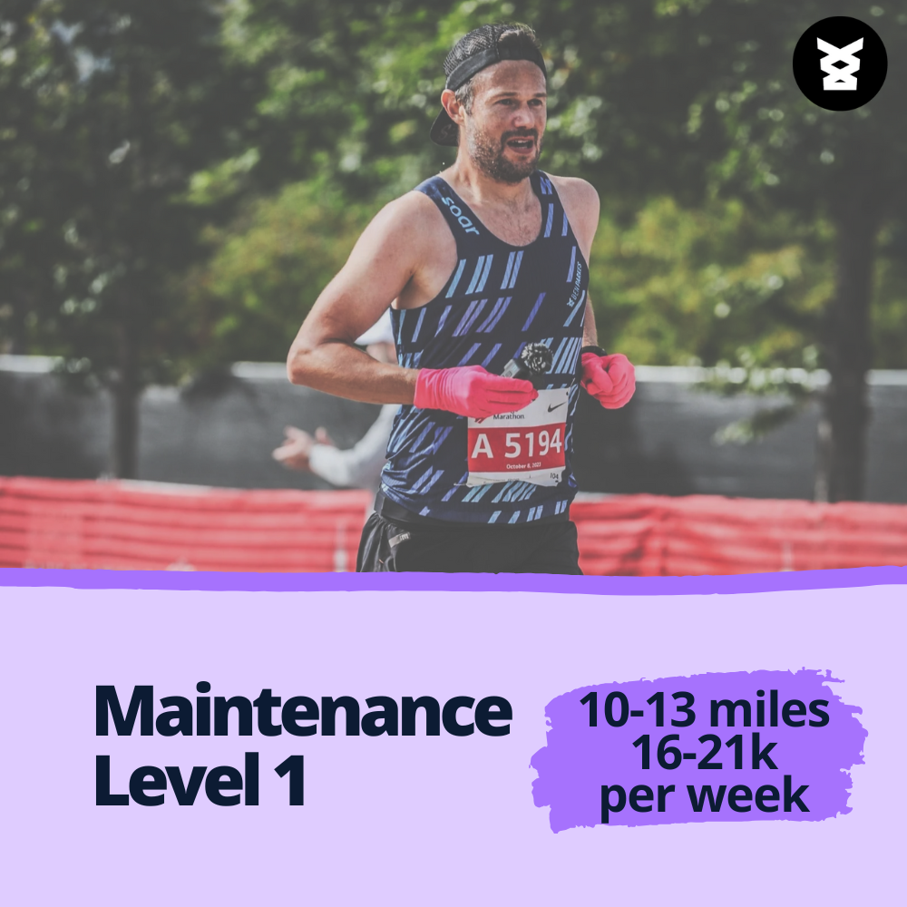 Maintenance Plan - L1